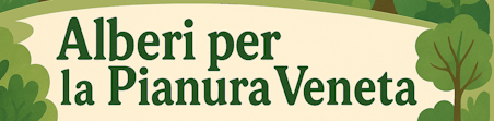 Logo Regione Del Veneto