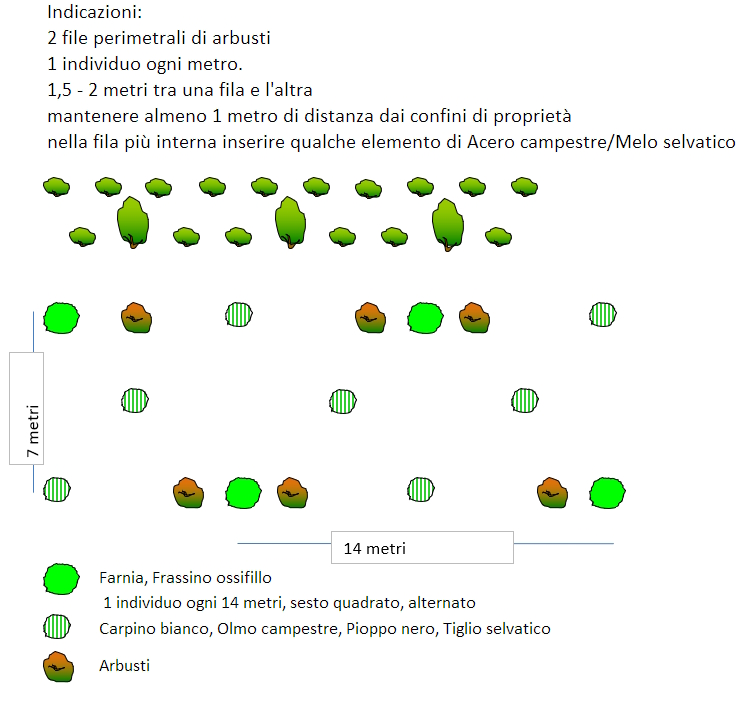 Bosco Pianura Bassa Densità